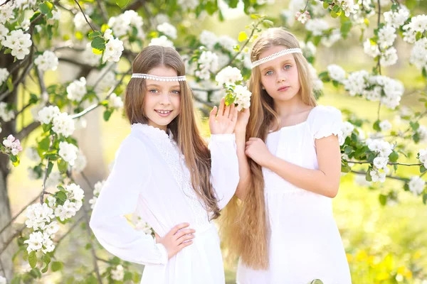 El retrato de dos muchachas de las amigas por la naturaleza veraniega —  Fotos de Stock