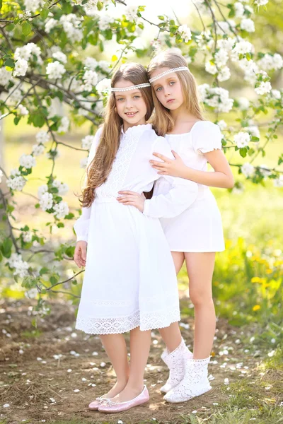 Retrato de duas meninas de amigas em uma natureza de verão — Fotografia de Stock