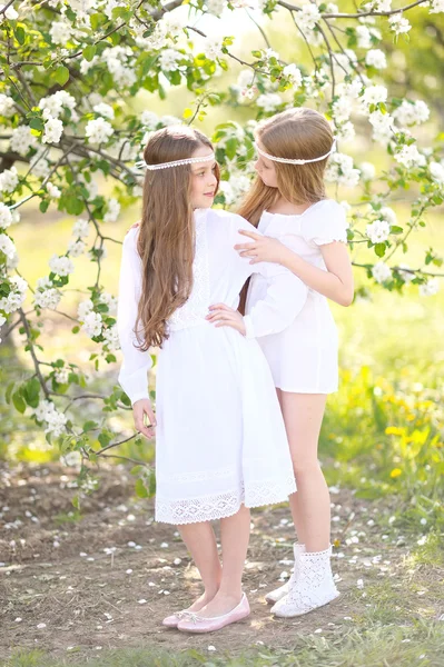 Retrato de duas meninas de amigas em uma natureza de verão — Fotografia de Stock