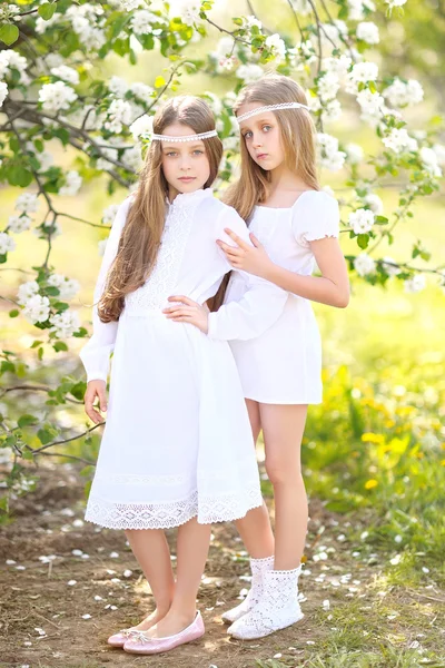 Retrato de duas meninas de amigas em uma natureza de verão — Fotografia de Stock