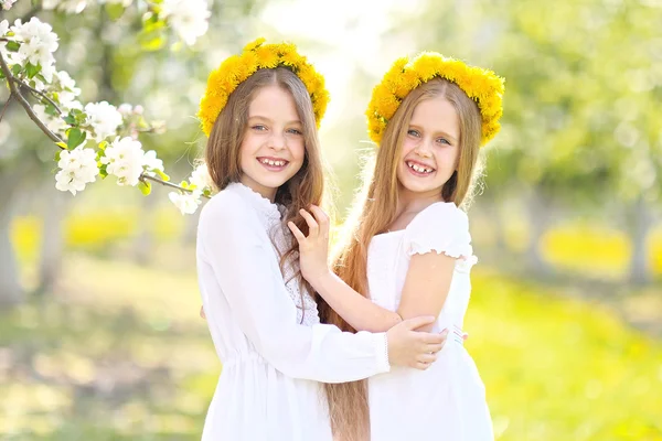 El retrato de dos muchachas de las amigas por la naturaleza veraniega —  Fotos de Stock