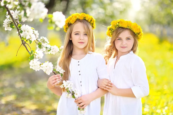 Retrato de duas meninas de amigas em uma natureza de verão — Fotografia de Stock