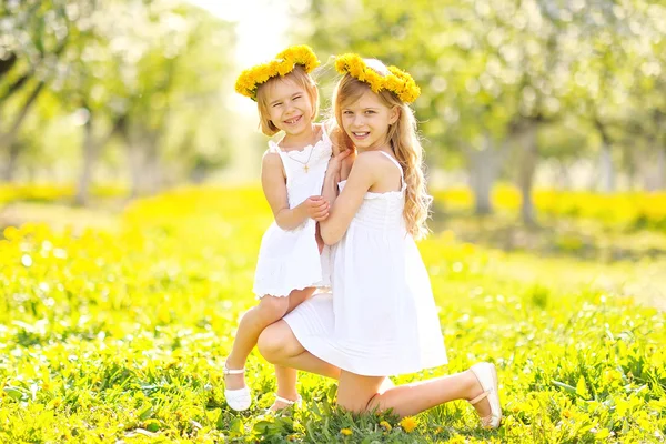 El retrato de dos muchachas de las amigas por la naturaleza veraniega — Foto de Stock