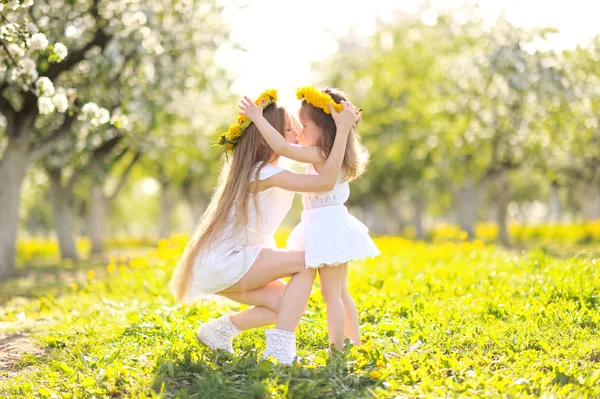 Bir yaz doğa üzerindeki Girlfriends iki kız portresi — Stok fotoğraf