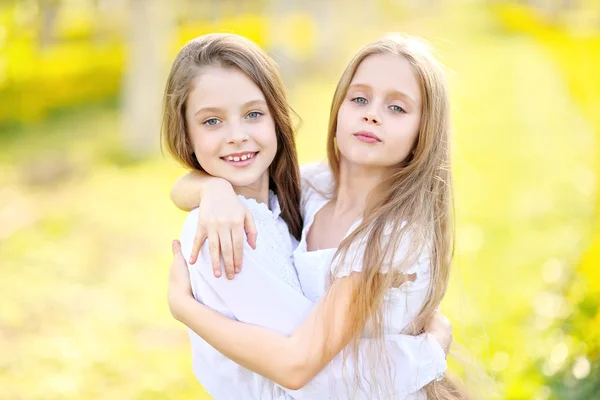 两个女孩的夏天性质的女朋友的肖像 — 图库照片