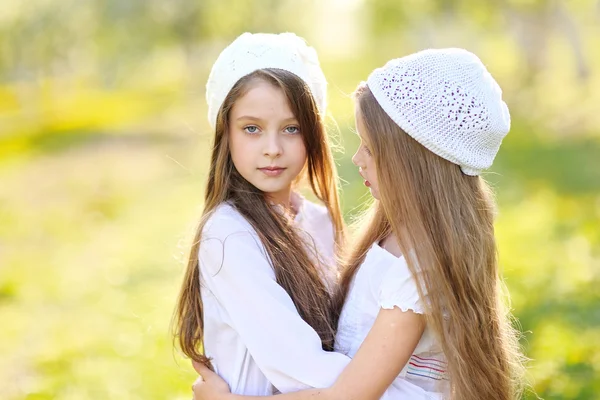 Retrato de duas meninas de amigas em uma natureza de verão — Fotografia de Stock