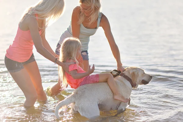 Retrato de uma família feliz no verão sobre a natureza — Fotografia de Stock