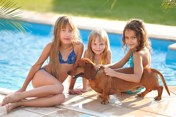 Portret van drie vriendinnen over de aard — Stockfoto