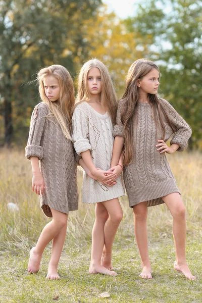 Porträtt av tre flickvänner på natur — Stockfoto