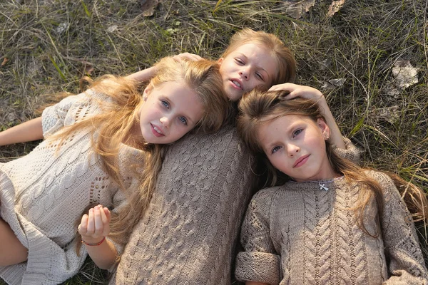 Retrato de tres novias sobre la naturaleza —  Fotos de Stock