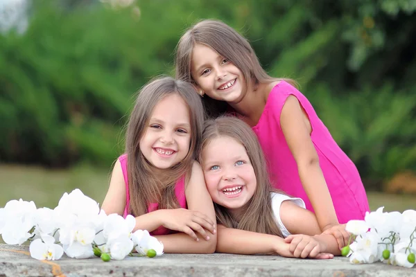 Porträtt av tre flickvänner på natur Stockfoto