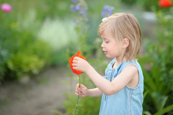 Portrait de petite fille en plein air en été — Photo