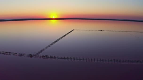 Rosa lago salato vista dall'alto — Video Stock