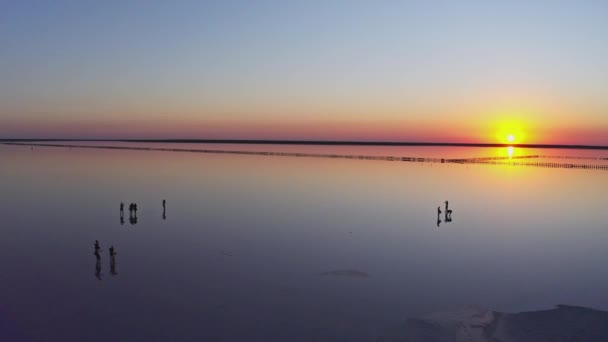 Vista superior del lago de sal rosa — Vídeos de Stock