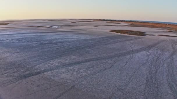 Pantano arenoso con grandes parches de hierba y arbustos — Vídeos de Stock