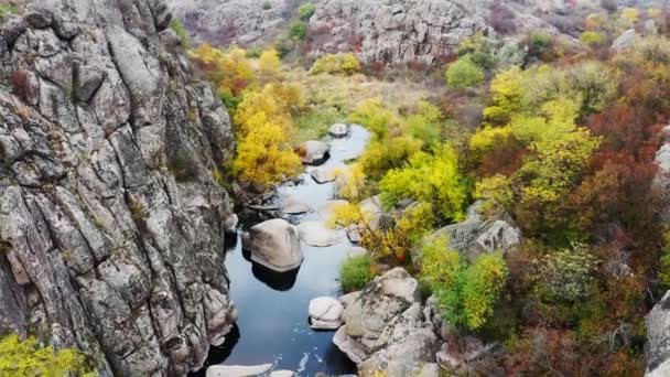 Um fluxo pitoresco flui no Aktovsky Canyon, cercado por árvores de outono e grandes pedregulhos de pedra — Vídeo de Stock