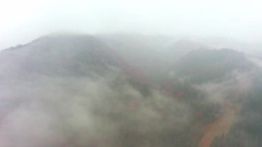 Karpatlar 'ın dağ vadisi Dzembronya köyü yakınlarındaki Ukrayna' da sis ve yağmurla kaplıdır.