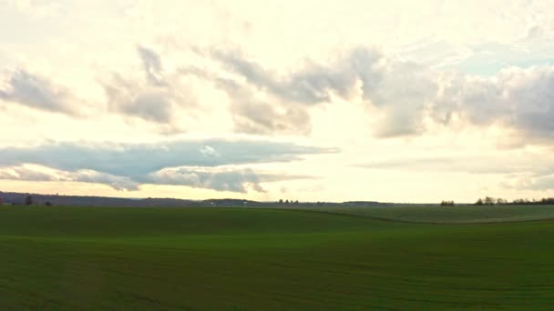 Champ vert lumineux avec de beaux nuages — Video