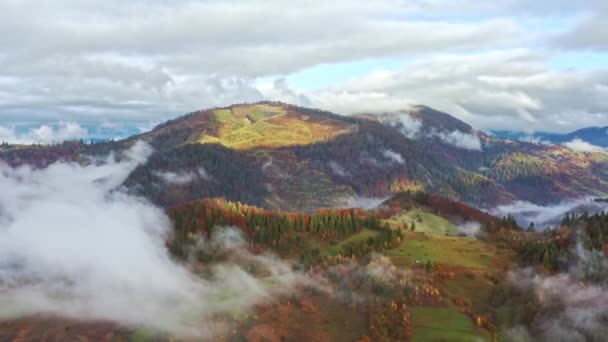 Grypa nad krajobrazami zielonych wzgórz pod warstwą białych i puszystych chmur — Wideo stockowe