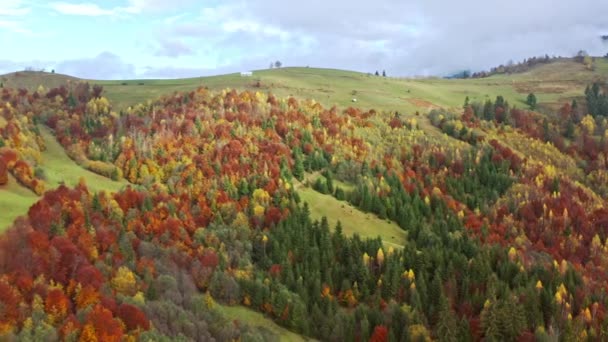 Грипп над зелеными холмами под слоем белых и пушистых облаков — стоковое видео