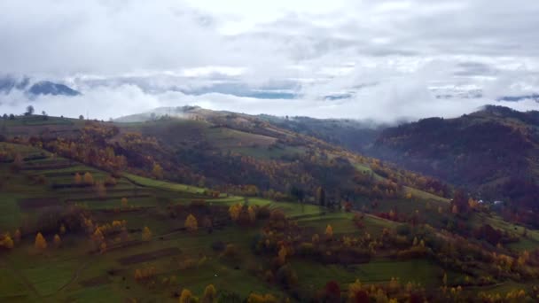 Grypa nad krajobrazami zielonych wzgórz pod warstwą białych i puszystych chmur — Wideo stockowe