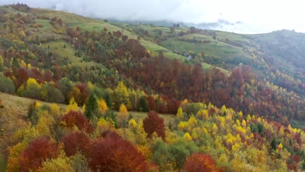 Influensa över landskap av gröna kullar under ett lager av vita och fluffiga moln — Stockvideo