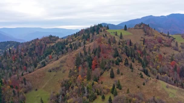 Grypa nad krajobrazami zielonych wzgórz pod warstwą białych i puszystych chmur — Wideo stockowe