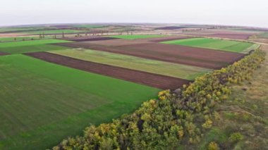 Yeşil boş bir tarlanın üzerinde uçuyor