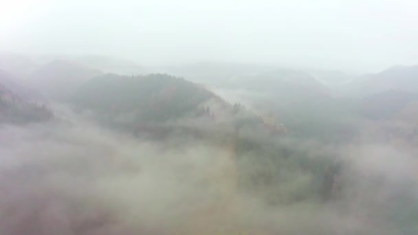 El valle montañoso de los Cárpatos está cubierto de niebla y lluvia en Ucrania cerca del pueblo de Dzembronya — Vídeos de Stock