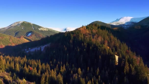 Malebné horské krajiny v blízkosti obce Dzembronya na Ukrajině v Karpat — Stock video