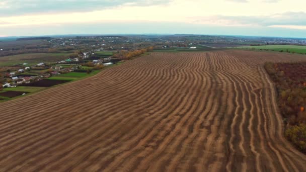 Survoler un champ vert vide — Video