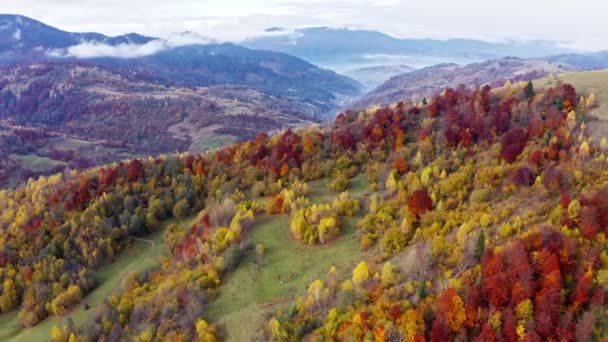 Fliegen Sie über grüne Hügellandschaften unter einer Schicht weißer und flauschiger Wolken — Stockvideo