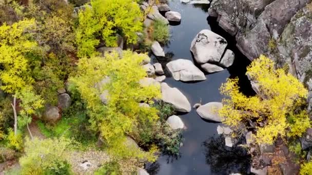 Um fluxo pitoresco flui no Aktovsky Canyon, cercado por árvores de outono e grandes pedregulhos de pedra — Vídeo de Stock