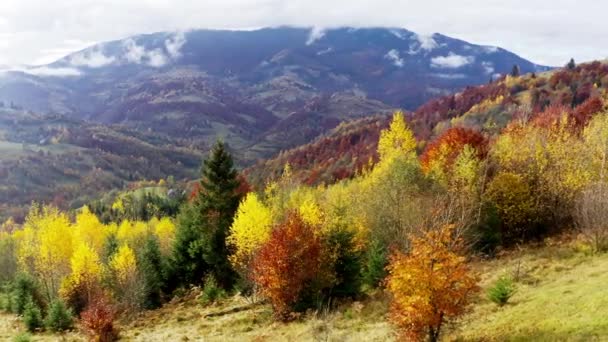 Survolez des paysages de collines verdoyantes sous une couche de nuages blancs et duveteux — Video