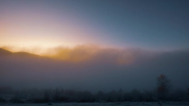 Lever de soleil dans une brume blanche — Video