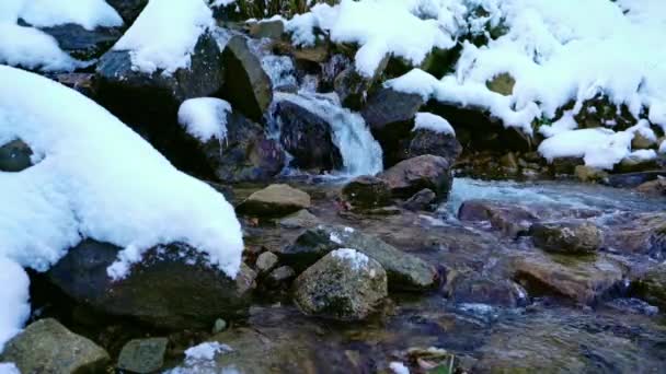 Liten bäck bland våta stenar och vit snö i de pittoreska Karpaterna i Ukraina — Stockvideo