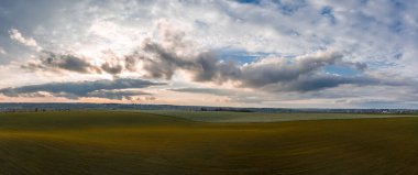 Buğday yetiştiren bir tarlanın üzerinde uçuyorlar. Hava panoramik İHA görüntüsü
