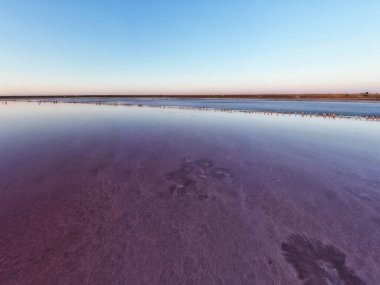 Parlak, tuzlu, pembe bir göl manzarası ve üzerinde bir patika.