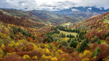 Gökyüzü beyaz ve kabarık bulutlar ile yeşil sonbahar tepeleri üzerinde, hava panoramik drone çekim
