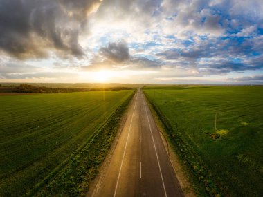 Ukrayna 'da yol trafiği olan yeşil arazili yaz manzarası.