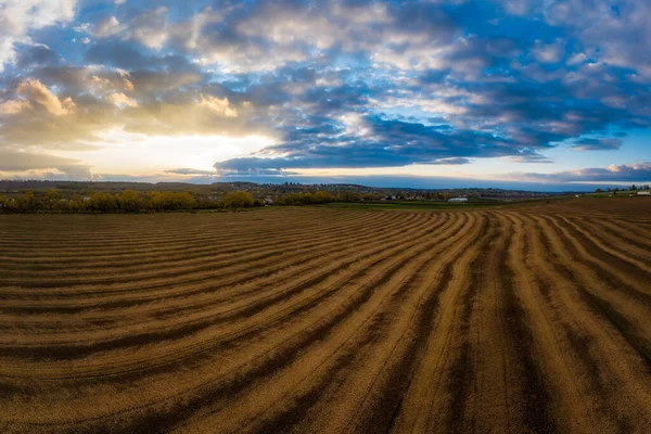 Flying Field Growing Wheat Aerial Panoramic Drone Shot — Stock Photo, Image
