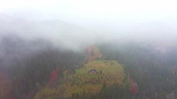 Deszczowa mgła w dolinie Karpat na pięknej Ukrainie w miejscowości Dzembronya — Wideo stockowe