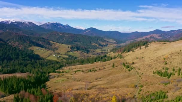 Pequeño pueblo en el hermoso valle de la montaña de los Cárpatos en Ucrania en el pueblo de Dzembronya — Vídeos de Stock