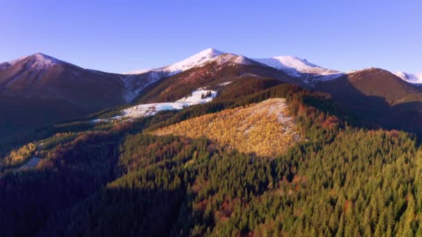 Paesaggi pittoreschi di montagna vicino al villaggio di Dzembronya in Ucraina nelle montagne dei Carpazi — Video Stock