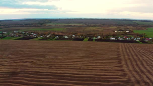 Flyger över ett grönt tomt fält — Stockvideo