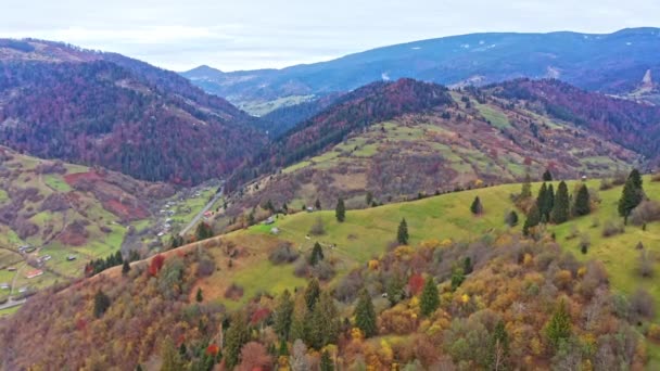 Grypa nad krajobrazami zielonych wzgórz pod warstwą białych i puszystych chmur — Wideo stockowe