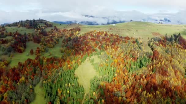 Летать над зелеными холмами под слоем белых и пушистых облаков — стоковое видео