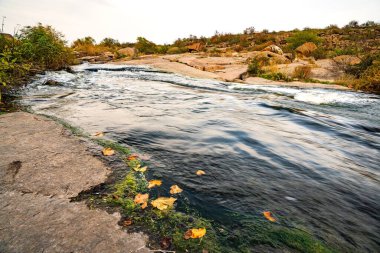 Pürüzsüz, ıslak ve karanlık taşların ve kuru alçak ağaçların arasında küçük, parlak bir dere akıyor.