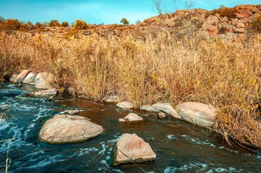 Hızlı, sığ ve temiz bir dere, Ukrayna 'da rüzgarda savrulan uzun kuru topaklarla çevrili yumuşak ve büyük taşların arasında akar.