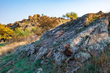 Ukrayna 'nın sıcacık güneşi ve güzel doğası ile dolu bir çayırda bitki örtüsüyle kaplı eski taş minerallerinin devasa birikintileri.